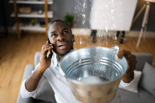 Best Water damage restoration near me  in Plainwell, MI
