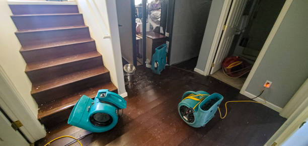 Water damage restoration insurance claims in Plainwell, MI