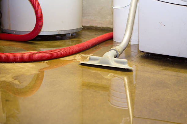 Best Flood restoration services  in Plainwell, MI