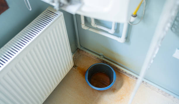 Best Ceiling water damage repair  in Plainwell, MI