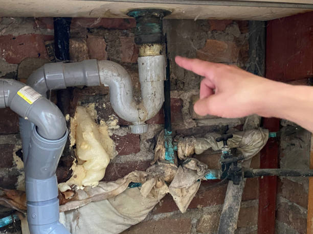 Best Water damage cleanup near me  in Plainwell, MI