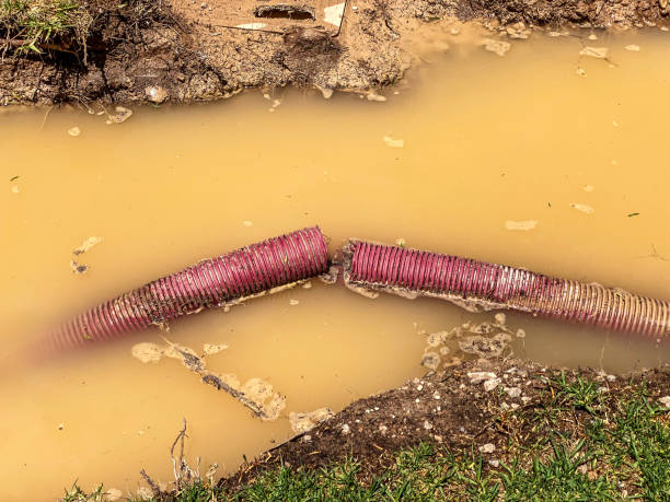  Plainwell, MI Water damage restoration Pros