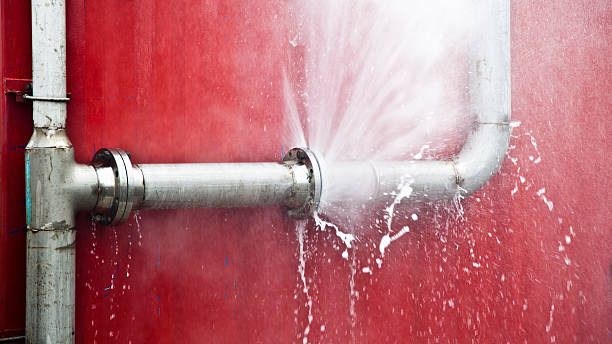 Best Sewage cleanup and water damage restoration  in Plainwell, MI