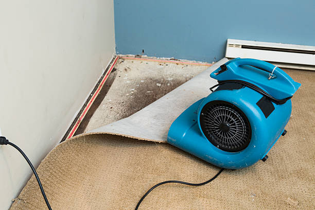 Best Residential water damage restoration  in Plainwell, MI